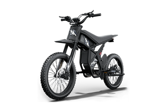 Ridingtimes GT73 E-Bike