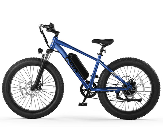 Qlife Racer Plus 26x4.0'' Fat Tire Electric Bike