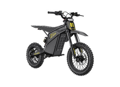 Heybike Villain
