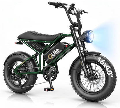 Qlife Spark D1 Electric Bike