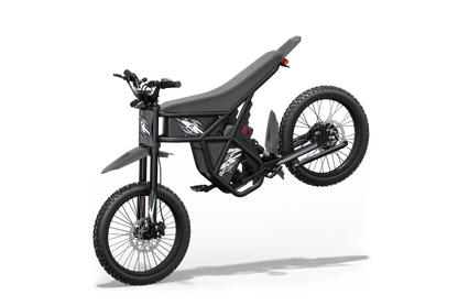 Ridingtimes GT73 E-Bike