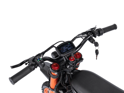 Ridingtimes GT54 E-Bike