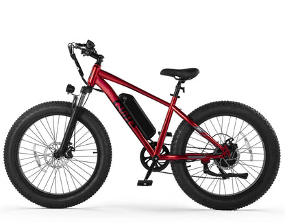 Qlife Racer Plus 26x4.0'' Fat Tire Electric Bike