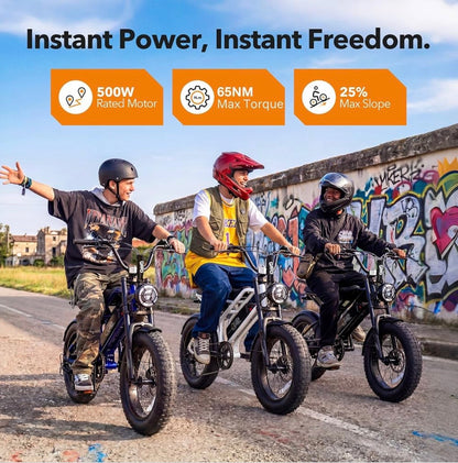 Qlife Spark D1 Electric Bike