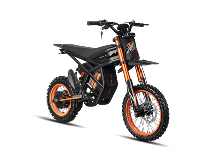 Ridingtimes GT54 E-Bike