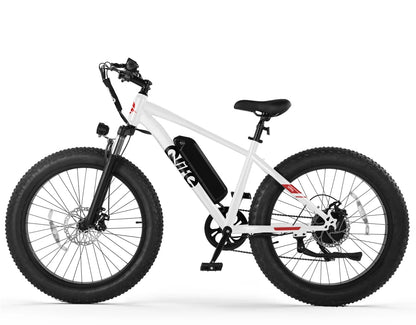 Qlife Racer Plus 26x4.0'' Fat Tire Electric Bike