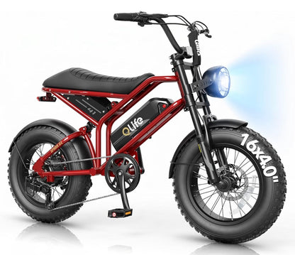 Qlife Spark D1 Electric Bike