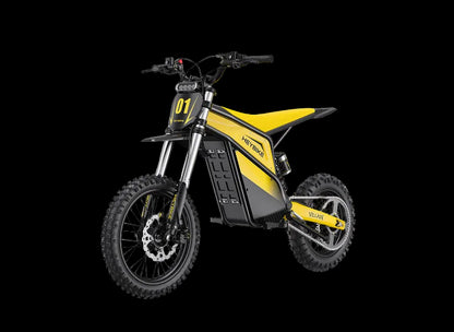 Heybike Villain